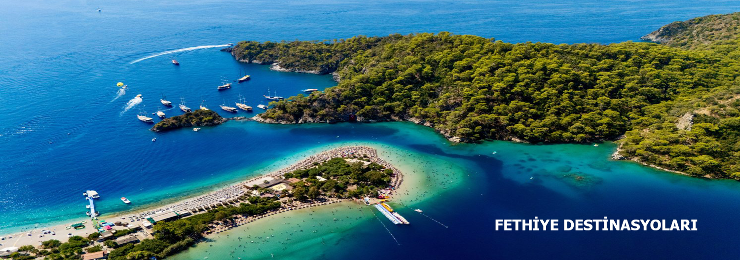 Fethiye detsinasyonu